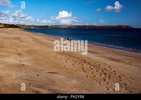 Près d'un hêtre Carlyon déserte à Cornwall, en Angleterre, après les vacances scolaires, presque déserte. Empreintes et un couple en train de marcher loin. Banque D'Images