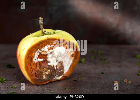 Une pomme pourrie sur un fond de bois - close up view with copy space Banque D'Images