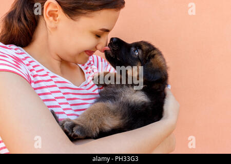 Mignon chiot berger allemand kissing woman's nose. Banque D'Images