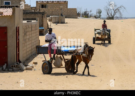 KAYAR, SÉNÉGAL - AVR 27, 2017 : l'homme sénégalais non identifié se trouve sur un chariot avec un rein dans un beau village près de Kayar, au Sénégal Banque D'Images