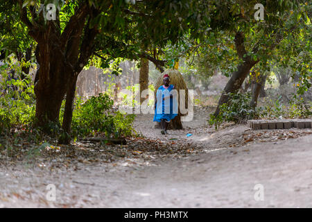 OUSSOUYE, SÉNÉGAL - Apr 30, 2017 : Des Sénégalais dans robe bleue marche avec un homme dans un costume de foin derrière dans la forêt sacrée près de Kaguit vil Banque D'Images