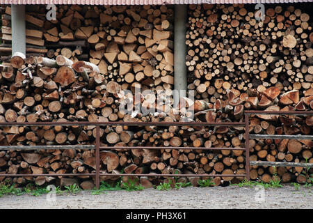 Pile de bois haché préparé pour l'hiver Banque D'Images