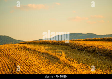 Champ de chaume avec de la paille et une vue panoramique sur les montagnes du Jura Souabe allemand Banque D'Images