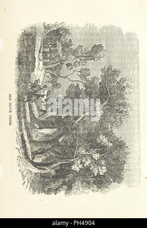 Libre à partir de la page 655 de "La main de Dieu dans l'Egypte, le Sinaï, la Terre Sainte et les dossiers d'un voyage de la grande vallée de l'Ouest pour les Lieux saints de l'Est. . Avec cartes, schémas et illustrations' 0001 .. Banque D'Images