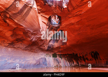 Cathédrale d'or dans la région de Neon Canyon, Utah, le Parc National de Escalante Banque D'Images