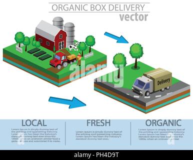 Marché Bio concept. Vector illustration d'un magasin de fruits et légumes biologiques. Illustration de Vecteur