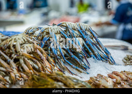 Crabe bleu au marché de poissons de Dubaï Banque D'Images