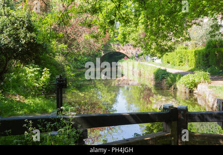 Canal de Basingstoke près de Woking dans Surrey, un jour de printemps ensoleillé avec des portes d'écluse au premier plan et le reflet du pont arrière-plan Banque D'Images