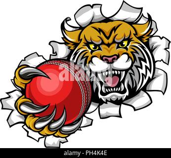 Cricket Ball Wildcat Holding Contexte de rupture Illustration de Vecteur