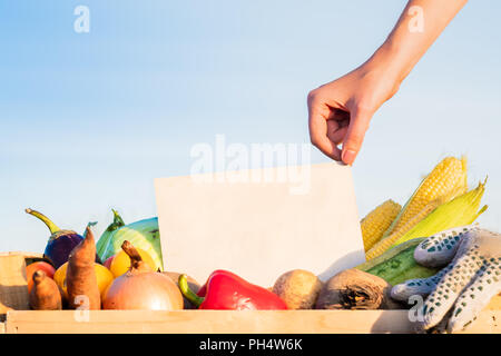 Emballage boîte pleine de légumes biologiques naturelles. Woman hand holding empty sign on pile de légumes frais dans le champ agricole. Banque D'Images