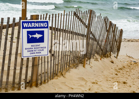 Grand Requin Blanc Signes on Beach Banque D'Images