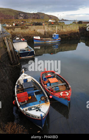 Bateaux amarrés dans le port de St Abbs, près de Eyemouth, Berwickshire, Ecosse, Royaume-Uni Banque D'Images