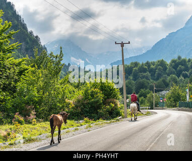 Le cheval et le cavalier et son poulain sur la route de Valbona dans la vallée de la rivière Valbona, partie de la Valbona National Park, dans le nord-est de l'Albanie, Banque D'Images