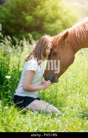 American Quarter Horse. Girl petting hongre alezan sur un pré. L'Autriche Banque D'Images