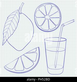 Du citron et de la limonade. Contours dessinés à la main, croquis Illustration de Vecteur