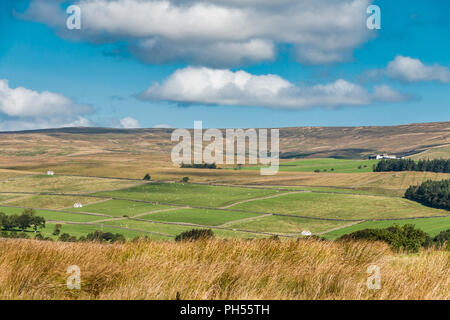 Paysage de l'AONB North Pennines, à plus de au nord de Teesdale Bowlees de Holwick, Upper Teesdale, County Durham, Royaume-Uni Banque D'Images