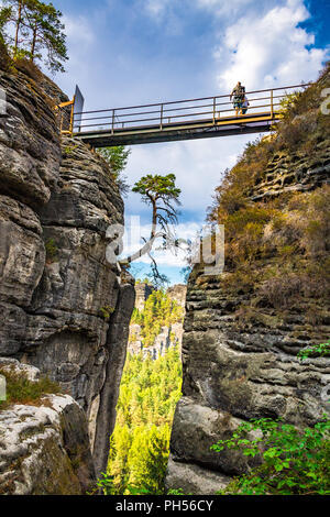 Les montagnes de grès de l'Elbe fait partie de la Suisse Saxonne Parc National en Allemagne Banque D'Images