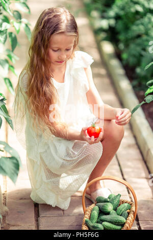 Cute little girl recueille des tomates et concombres de cultures en serre Banque D'Images