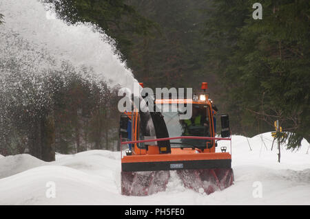 Fraiseuse à neige au travail le nettoyage d'un chemin forestier Banque D'Images