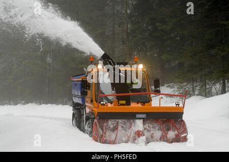 Fraiseuse à neige au travail le nettoyage d'un chemin forestier Banque D'Images