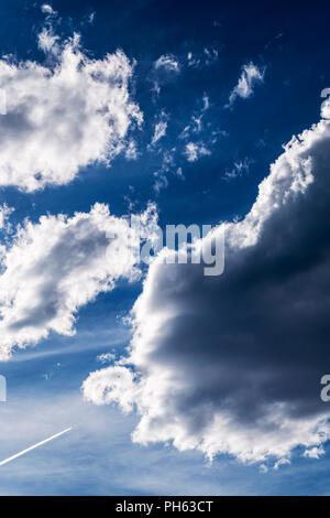 Traînées d'avion à réaction ; et de nuages gonflés contre un ciel bleu clair le centre du Colorado, USA Banque D'Images