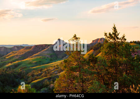 Un bison d'Amérique broute dans Parc National Theodore Roosevelt, Dakota du Nord Banque D'Images