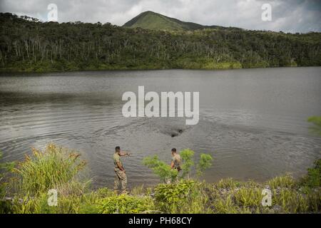 Les Marines américains avec 3e Bataillon, de l'application de la Loi III Marine Expeditionary Force Information Group train à la zone d'atterrissage Gander, Okinawa, Japon, le 27 juin 2018. Marines avec le 3e Bn. a effectué des patrouilles de routine de détection d'explosifs, mordent, travail et à améliorer leurs capacités de suivi et de préparer les déploiements. Banque D'Images