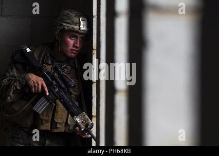 Lance le Cpl. Ezequiel Hernandez, un carabinier avec Echo, l'entreprise Équipe de débarquement du bataillon, 2e Bataillon, 5ème Marines, détient la sécurité à l'intérieur d'un bâtiment sécurisé lors d'un assaut sur la ville de Combat mécanisée dans le cadre de la 31e Marine Expeditionary Unit's MEU Exercice, zone centrale de formation, Okinawa, Japon, le 28 juin 2018. Hernandez, originaire de Las Vegas, est diplômé de l'École secondaire l'Héritage en Mai 2016 avant de s'enrôler en novembre de la même année. Les Marines et les marins à la société Echo a effectué le dernier événement de formation de MEUEX, une attaque lancée depuis le Camp Schwab et ciblant la lutte contre la ville, partie d'Okina Banque D'Images