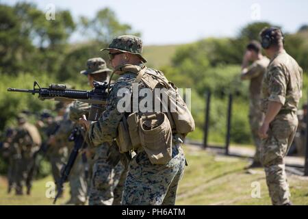 Les Marines américains avec Echo, Batterie, 2e Bataillon, 10e Régiment de Marines, 2e Division de marines, et des soldats britanniques avec 29 régiment de commando, de l'Artillerie royale, mener un assaut gamme de cours dans le cadre de l'exercice Green Cannon 18 au Camp Bulford, Angleterre, le 29 juin 2018. Green Cannon est un exercice de formation offrant la possibilité d'échanger des Marines tactiques et techniques tout en renforçant les relations et l'interopérabilité avec leurs homologues britanniques. Banque D'Images