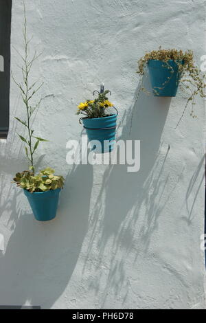 Espagne, Andalousie, le charmant petit village de Frigiliana, pots de plantes sur un mur dans une allée dans l'ancien quartier mauresque. Banque D'Images