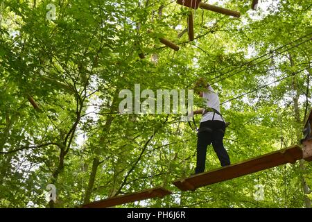 Garçon marche sur des planches en haut, dans les arbres dans un parc d'aventure d'escalade. Banque D'Images