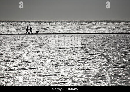 Couple et chien sur la chaussée autour du lac marin à West Kirby, Wirral, Angleterre Banque D'Images