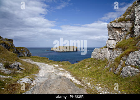 L'Île Brebis au large de la côte d'Antrim, en Irlande du Nord Banque D'Images