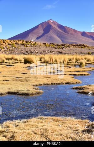 Les marais de haute altitude et des paysages volcaniques près de Quetana Grande dans la réserve nationale Eduardo Avaroa, Bolivie Banque D'Images