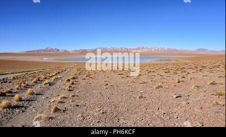 Vue panoramique sur Laguna Hedionda Sur, dans la réserve nationale Eduardo Avaroa, Province Sud Lipez, Bolivie Banque D'Images