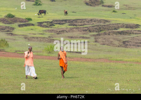 Goa, Inde - Juillet 8, 2018 - Deux prêtres marcher à travers les collines hindouiste à Goa en passant des vaches sacrées Banque D'Images