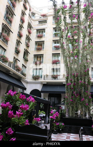 Cour de l'hôtel à Paris, orchidée vanda afficher Banque D'Images