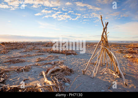 Bois flotté sur la plage de Hokitika, côte ouest, Nouvelle-Zélande. Banque D'Images