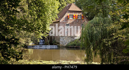 Moulin à eau, château de Steinfurt, Drensteinfurt, Allemagne Banque D'Images