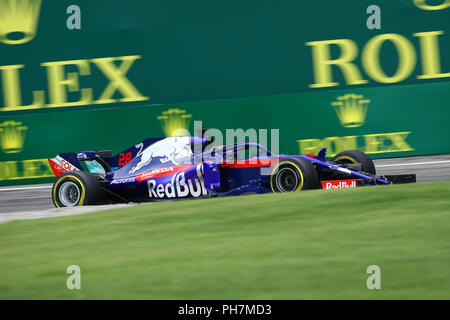 Monza, Italie. 31 août, 2018. Brendon Hartley, de Nouvelle Zélande et Scuderia Toro Rosso sur la voie au cours de la pratique pour le Grand Prix de Formule 1 de l'Italie Banque D'Images