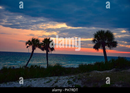 Beaux Palmiers Coucher du soleil d'ossature à Panama City Beach, Floride, FL, USA Banque D'Images