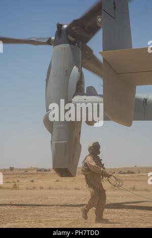 Un Corps des Marines MV-22 atterrit à un endroit éloigné près de la frontière iraqo-syrienne, pour ravitailler les Marines américains et les soldats du 3e régiment de cavalerie, le 23 juin 2018. Les forces de sécurité irakiennes et les partenaires de la Coalition a fourni l'appui feu pour aider les forces démocratiques syriennes comme ils continuer l'opération Roundup, l'offensive militaire à accélérer la défaite d'ISIS qui reste au milieu de la vallée de l'Euphrate et la région de la frontière irako-syrienne. Banque D'Images