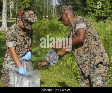 La Marine américaine lance le Cpl. Alexis Mendoza, à gauche, et Sgt. Roderick peu affectés au Siège et Service Company (H&S Co.), du Marine Corps Combat Service Support des écoles, jeter dans la corbeille trashbag lors d'une journée de nettoyage de la Terre au Camp Johnson, N.C., le 26 juin 2018. H&S Co. procède à une terre journée de nettoyage de la base pour promouvoir la sensibilisation à l'environnement. Banque D'Images