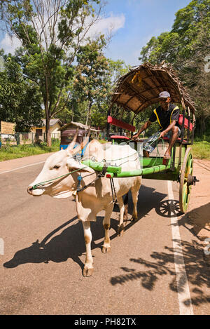 Vue verticale d'un chariot à boeufs au Sri Lanka. Banque D'Images