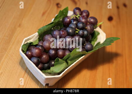 Hambourg noir raisin (Vitis vinifera) à partir de la grande vigne, Hampton Court Palace, East Molesey, Surrey, Angleterre, Grande-Bretagne, Royaume-Uni, Europe Banque D'Images