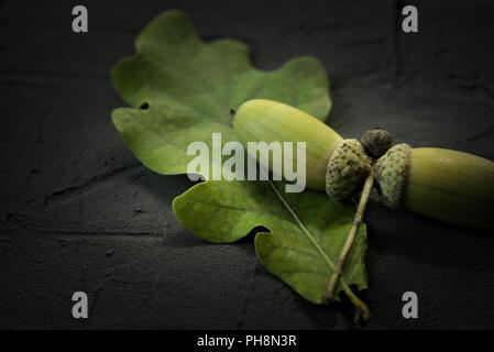 Glands de chêne vert et de feuilles sur une surface en pierre noire avec copie espace libre Banque D'Images