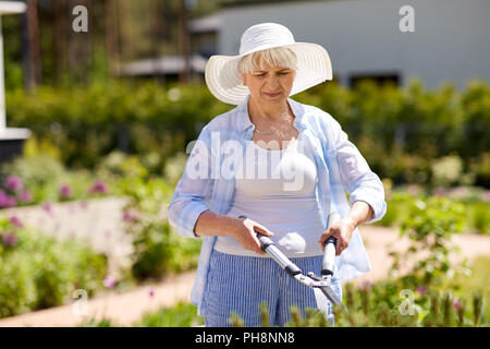 Taille-haie avec jardinier senior au jardin Banque D'Images