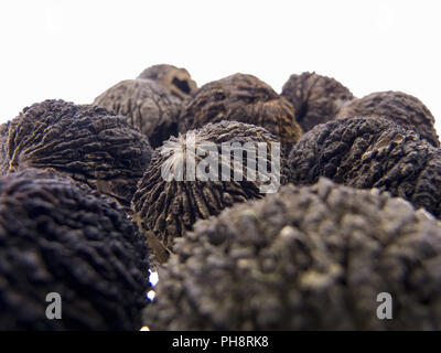 Le noyer noir, fruit Juglans nigra Banque D'Images