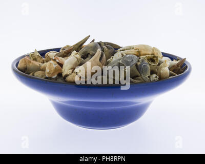 Tenailles de crabes, fruits de mer, isolé, Banque D'Images