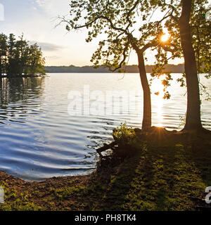 Glabbacher Bruch Krickenbeck, lacs, Nettetal Banque D'Images